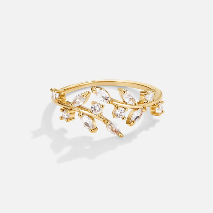 Anello d&