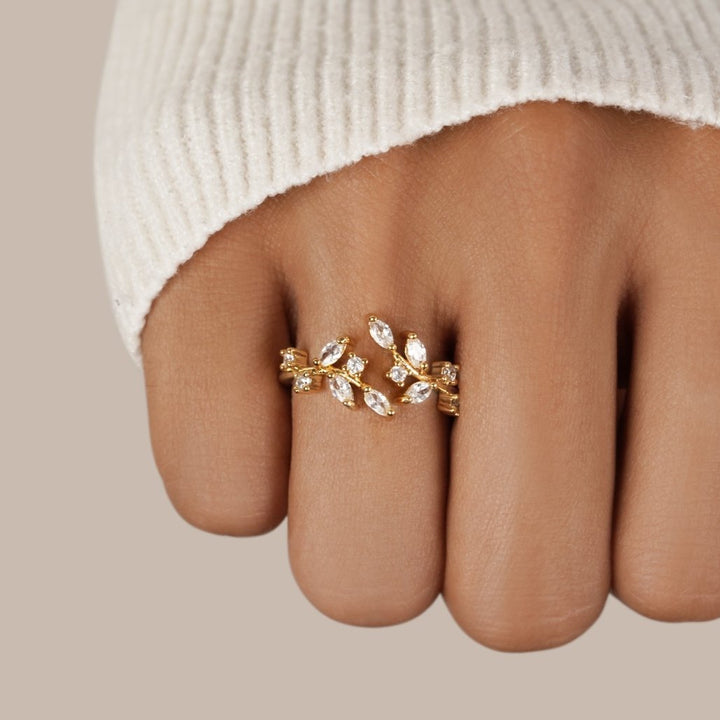 Anello d&