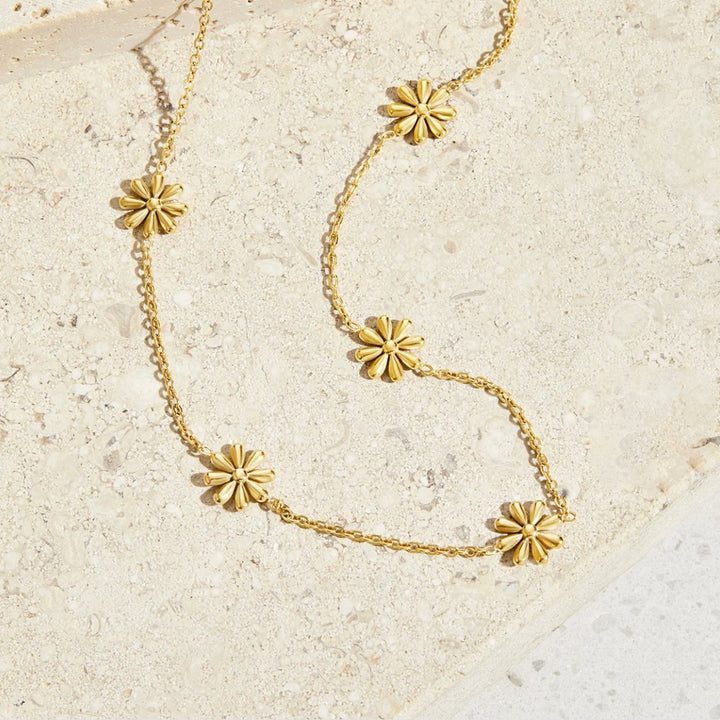 Collana d&