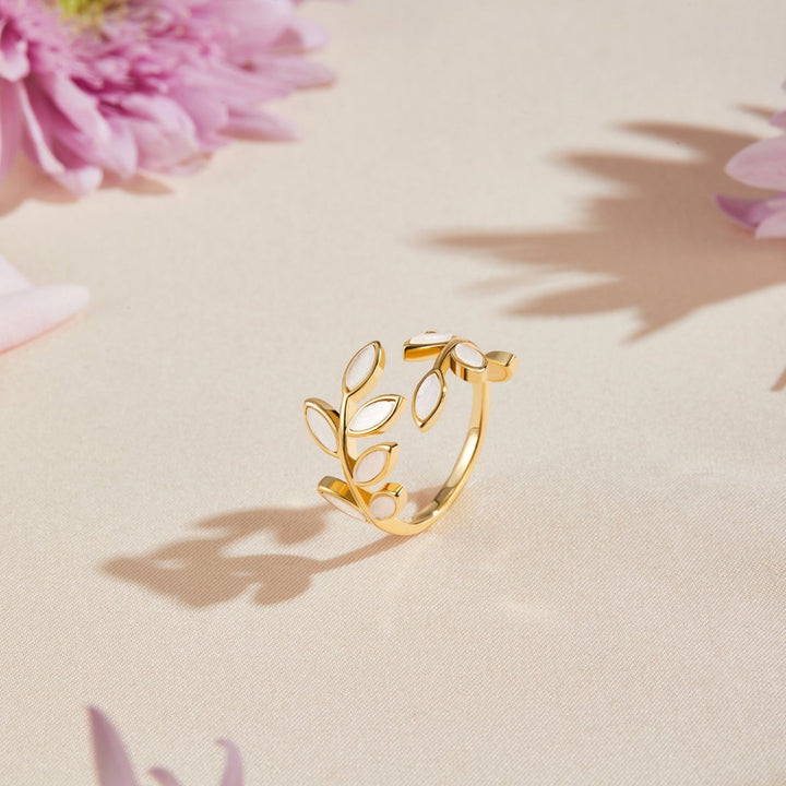 Anello d&